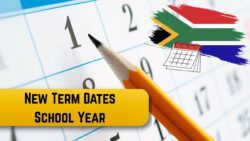 New School Term Dates and Breaks Announced for October 2025 – Updated School Calendar